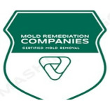 Broomfield Mold Remediation Pros