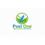 Dịch vụ diệt côn trùng Pest One VN