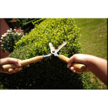 Garden Maintenance Golders Green