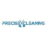 Precise Cleaning