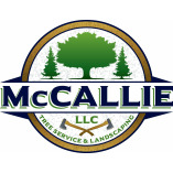 McCallies LLC