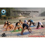 Drishti Yoga School