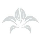 First Real Estate Partner · Blume Hulsman GbR | Immobilienagentur in Essen logo