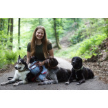 Gassiservice Better Together in Heidelberg logo