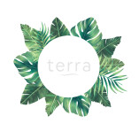 Terra Philly