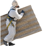 Express Asbestos Solutions