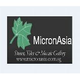 MICRON ASIA PTE LTD