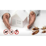 Pest Control Camp Hill