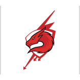 Drachen Ümzug logo