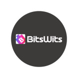 BitsWits-Houston