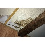 River City Water Damage Co