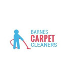 Barnes Carpet Cleaners