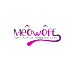 Meowoff - 🐱Kittens For Sale In Chicago Illinois