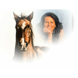 Horsefeelings