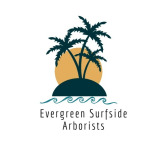 Evergreen Surfside Arborists