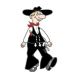 Schill Michael Holzbau GmbH & Co. KG logo