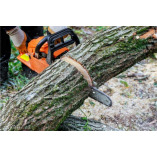 Ann Arbor Tree Service