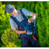 ArboristsHobart.com.au