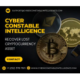 RECOVER SCAMMED CRYPTO/BTC/USDT–CONTACT CYBER CONSTABLE INTELLIGENCE