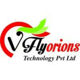 Vflyorions Technologies