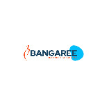 Bangaree Infotech Solutions