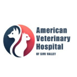 American Veterinary Hospital