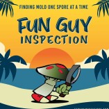 Fun Guy Inspection & Consulting Inc.