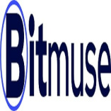 Bitmuse Paginas web y SEO Local