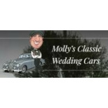 Mollys Events Ltd