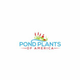 Pond Plants of America