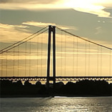 Papimex Papierhandel GmbH & Co. KG logo