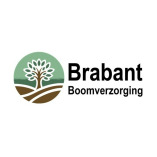 Brabant Boomverzorging