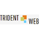 Best SEO Agency in India: Trident Web Infoservices