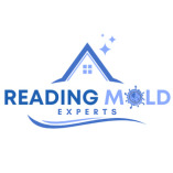 Mold Remediation Reading Solutions