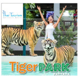 Tiger Park Pattaya