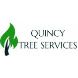 Quincy Tree Services