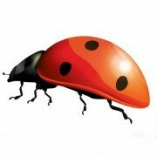 liesLotte Medien Verlag logo