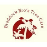 Best Tree Service Company