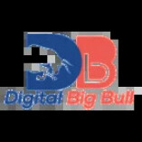 Digital BigBull