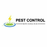 Rodent Control Brisbane