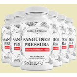 Sanguinem Pressura Real Customer Experience Report!