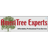 AmeriTree Experts Tampa