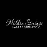 Hidden Springs Labradoodles