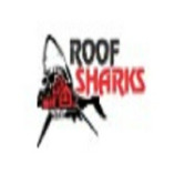 The Roof Sharks