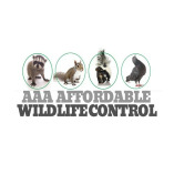 AAA Affordable Wildlife Control