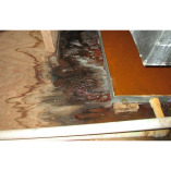 Water Damage Experts of Fort Myers
