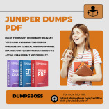 Juniper Dumps PDF