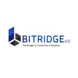 BITRIDGE LLC