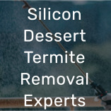 Silicon Dessert Termite Removal