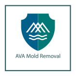 AVA Mold Removal